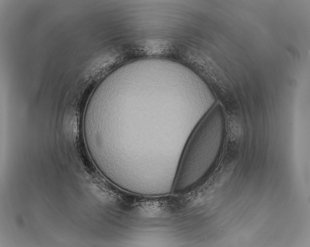 X0000111160740200907281152