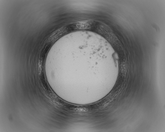 X0000111160741200907281152