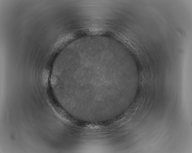 X0000111160742200907281152