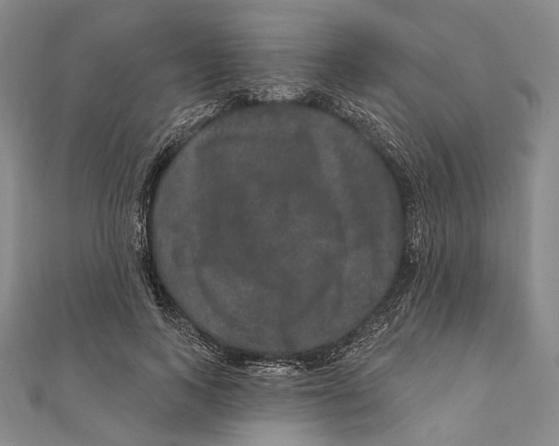 X0000111160743200907281153