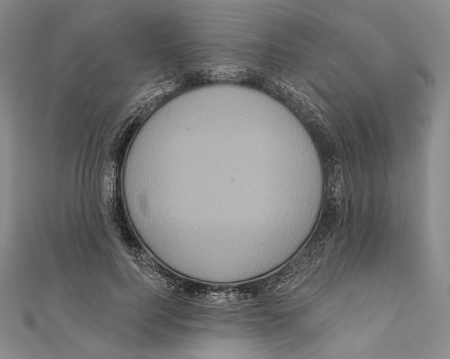 X0000111160744200907281153