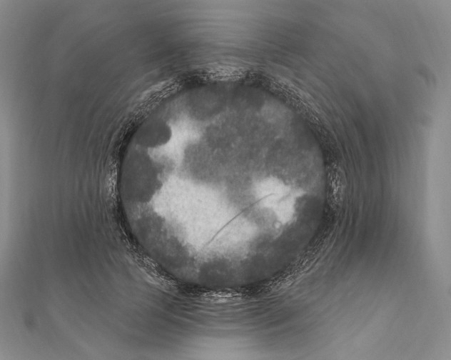 X0000111160745200907281153