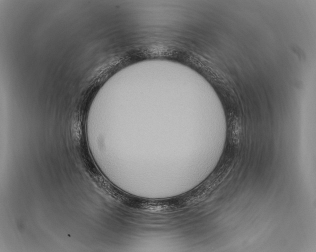 X0000111160746200907281153