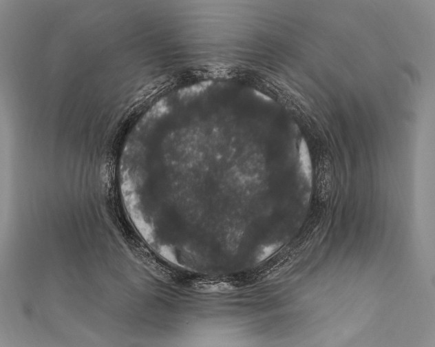 X0000111160747200907281153