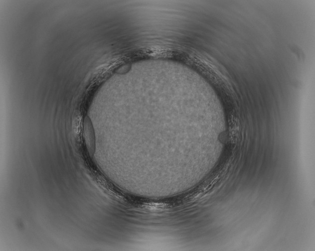 X0000111160748200907281153