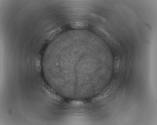 X0000111160749200907281153