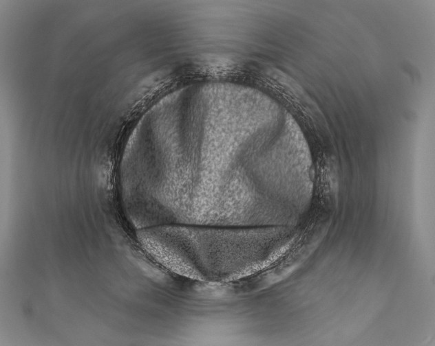 X0000111160750200907281153