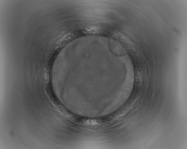 X0000111160751200907281153