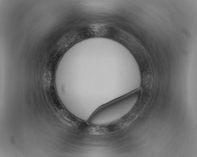 X0000111160752200907281153