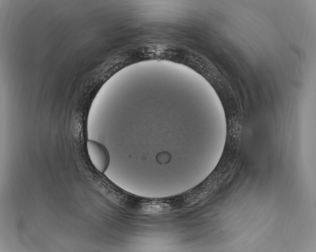X0000111160754200907281153