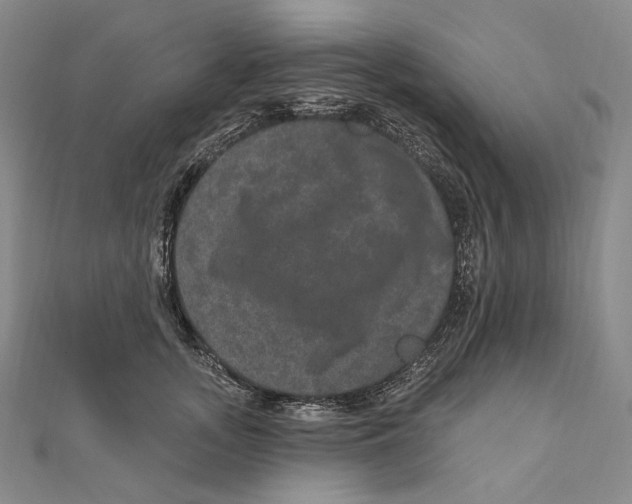 X0000111160755200907281153