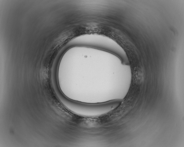 X0000111160756200907281153