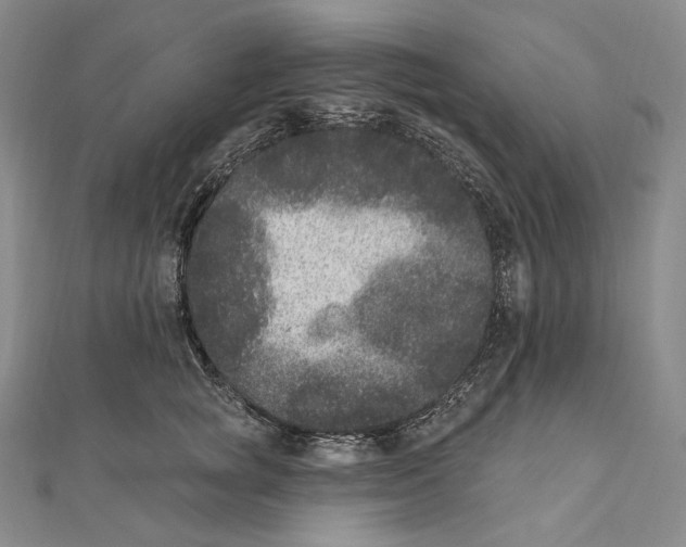 X0000111160757200907281153