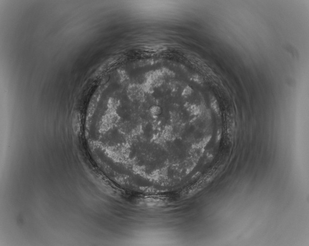 X0000111160758200907281153