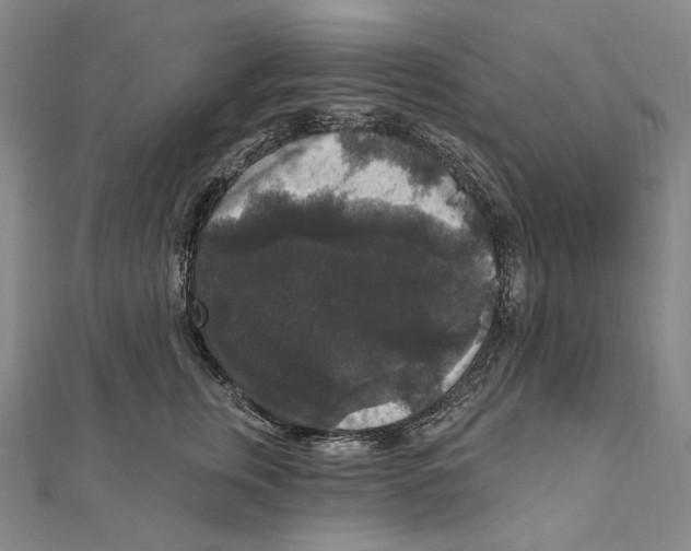 X0000111160759200907281153