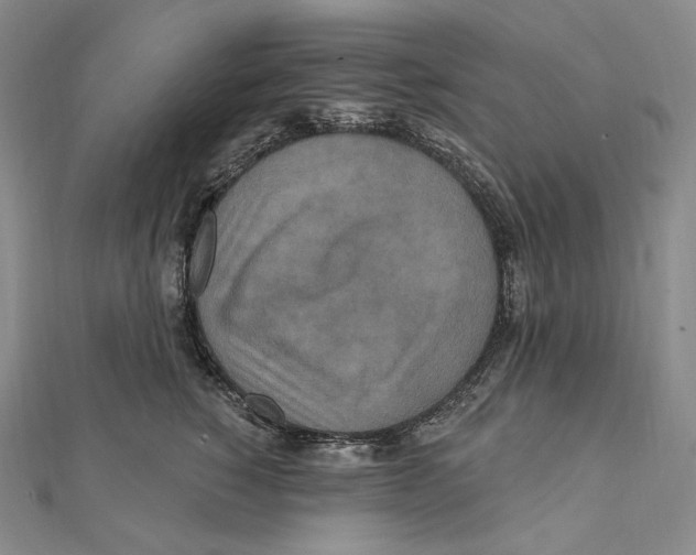 X0000111160760200907281153