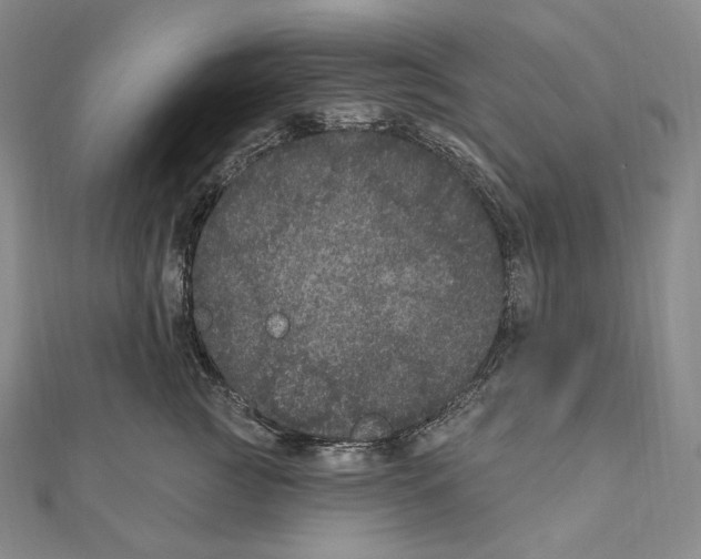 X0000111160761200907281153