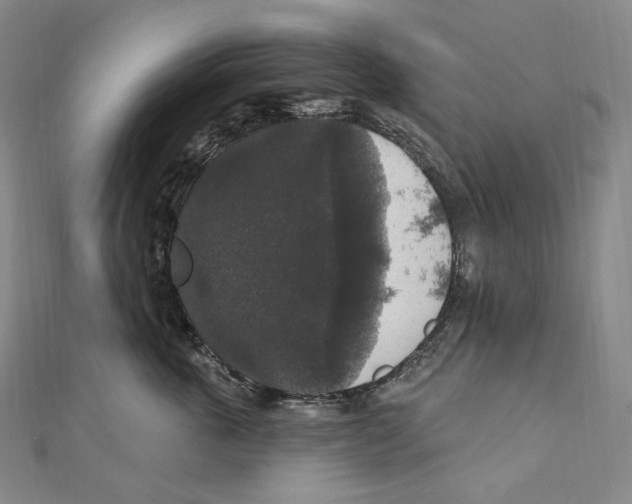 X0000111160763200907281153