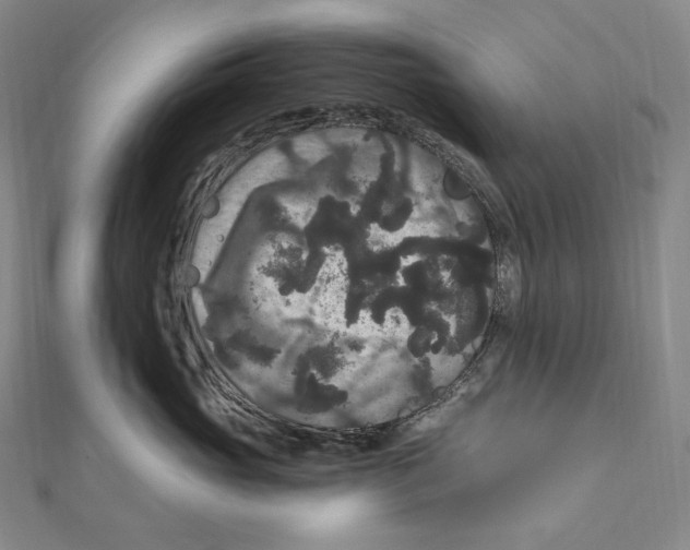 X0000111160765200907281153