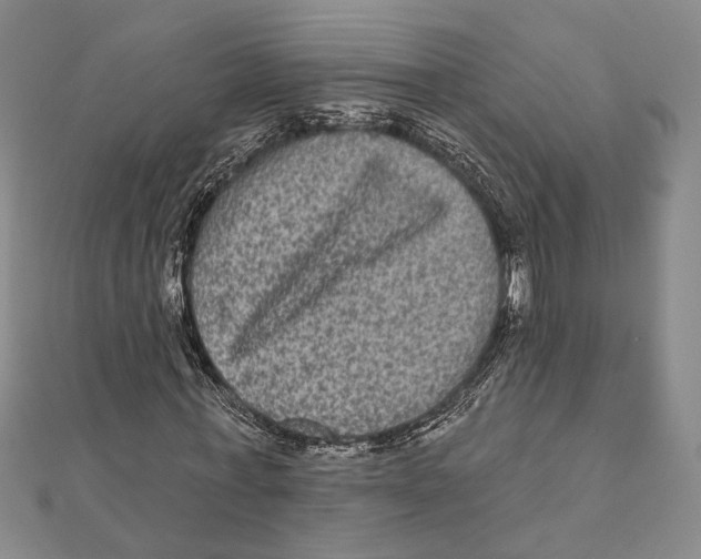 X0000111160771200907281152