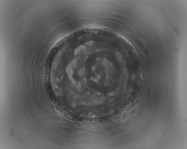 X0000111160775200907281152