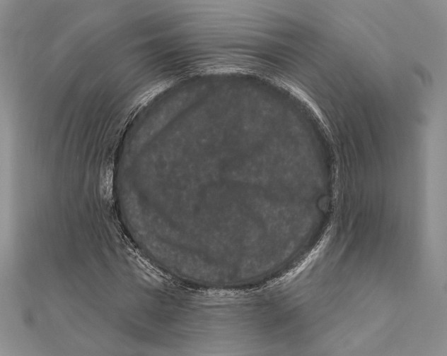 X0000111160777200907281152