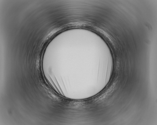 X0000111160778200907281152