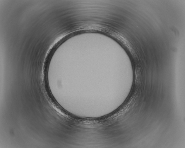 X0000111160780200907281152