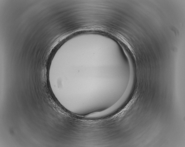X0000111160781200907281152