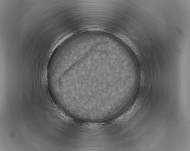 X0000111160782200907281152