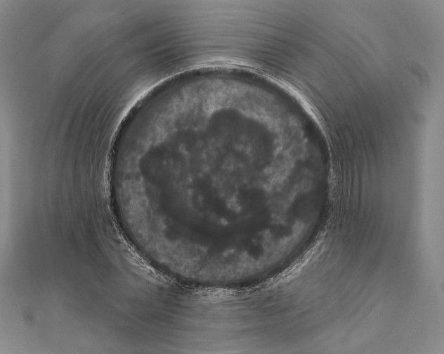 X0000111160783200907281152