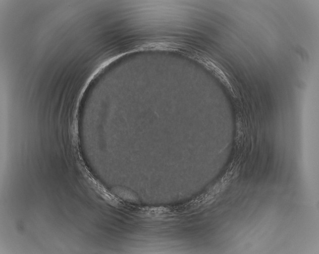 X0000111160784200907281152