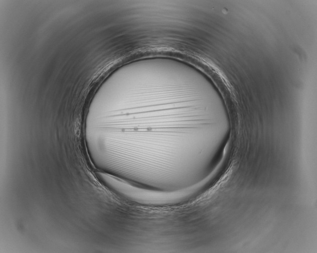 X0000111160785200907281152
