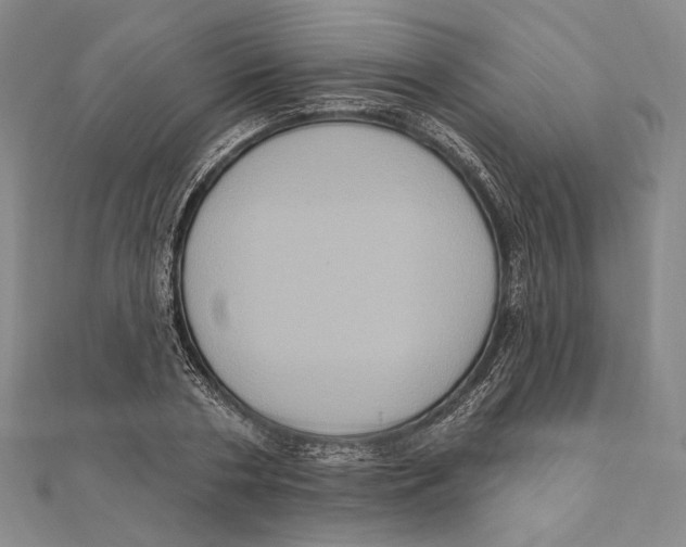 X0000111160786200907281152