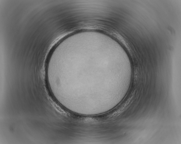 X0000111160787200907281152