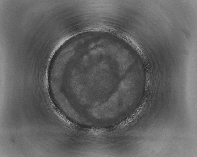 X0000111160788200907281152