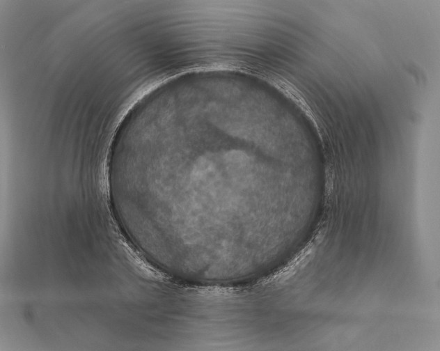 X0000111160789200907281152
