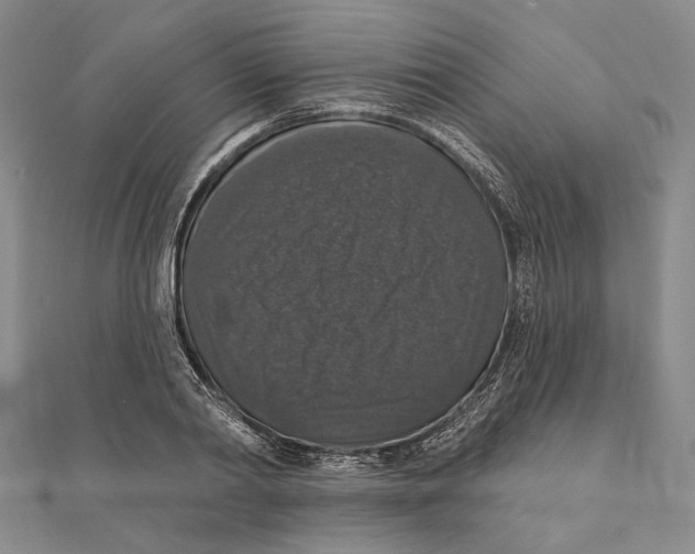 X0000111160790200907281152