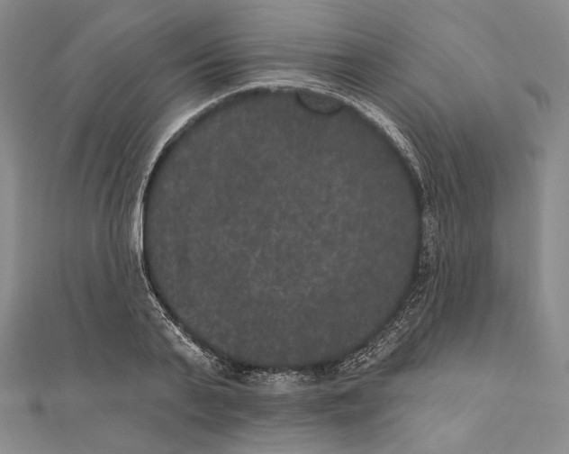 X0000111160791200907281152