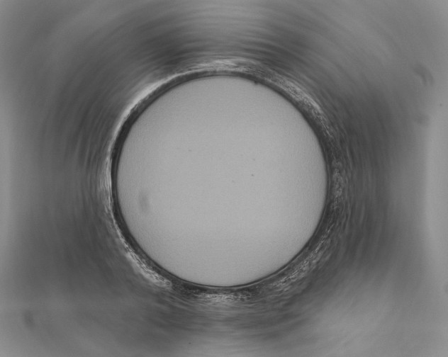 X0000111160792200907281152
