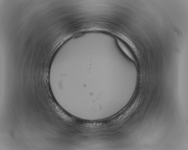 X0000111160793200907281152