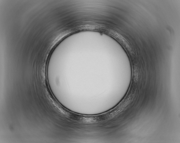 X0000111160794200907281152