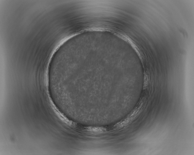 X0000111160795200907281152