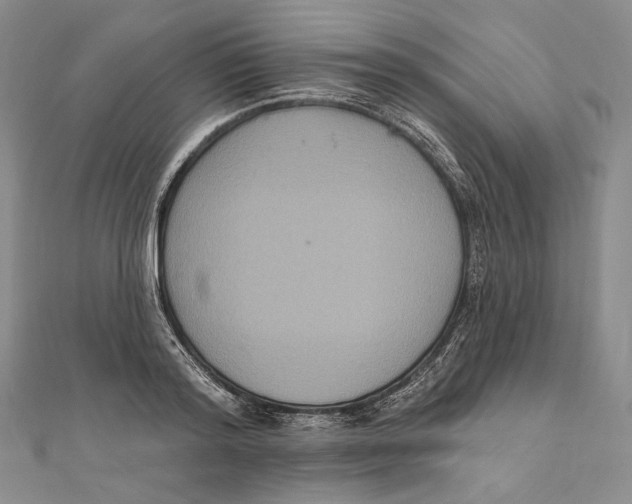 X0000111160796200907281152
