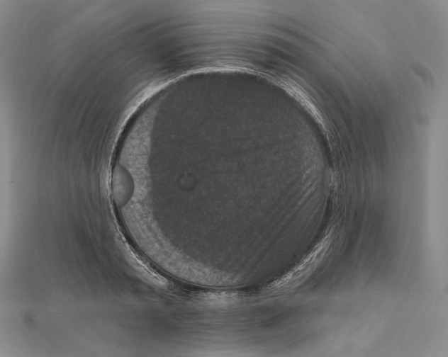 X0000111160797200907281152