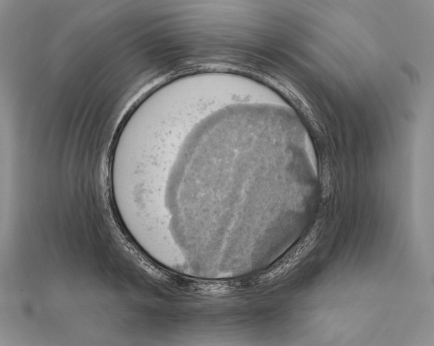 X0000111160798200907281152