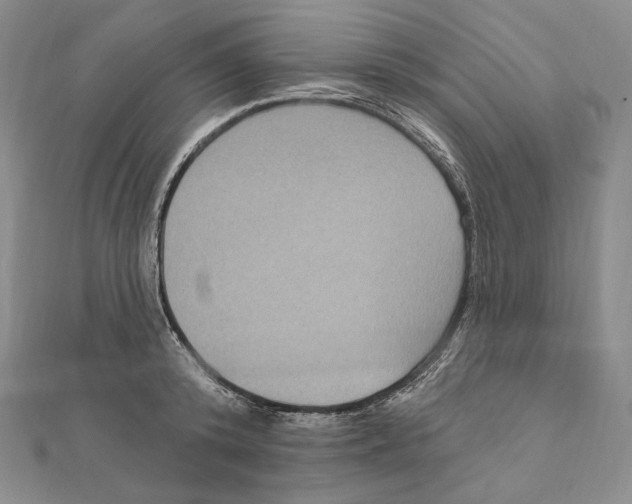 X0000111160800200907281152