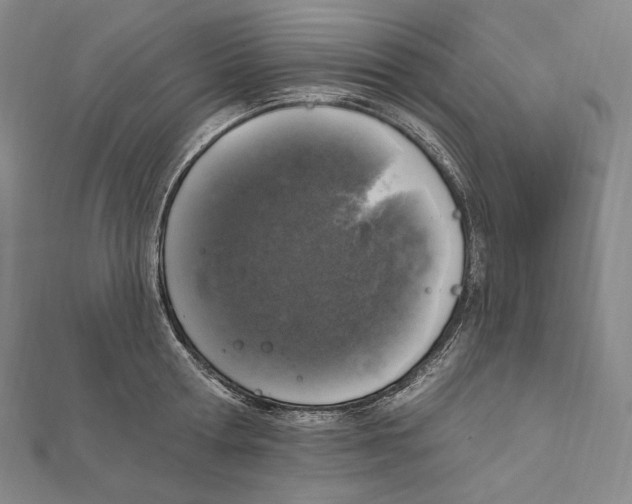 X0000111160802200907281152