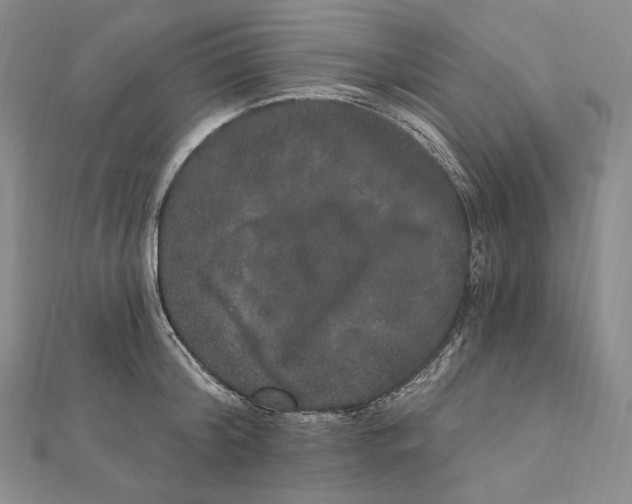 X0000111160804200907281152