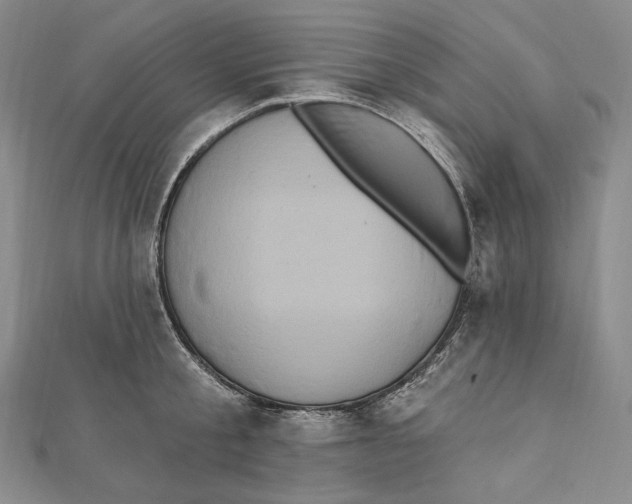 X0000111160805200907281152
